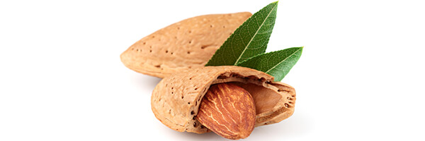 L'huile végétale d'amande douce